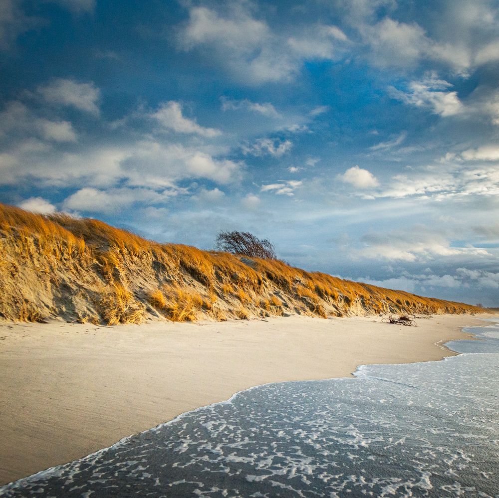 Photograph by Andrei Iliushenko