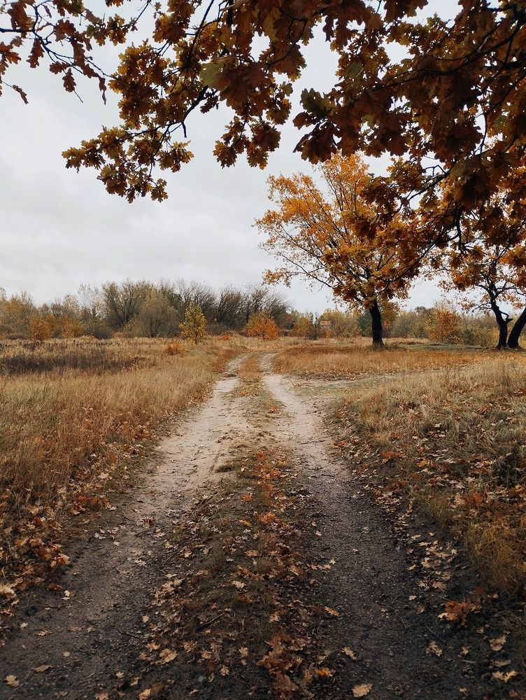 Фотография автора Наталья Боярина