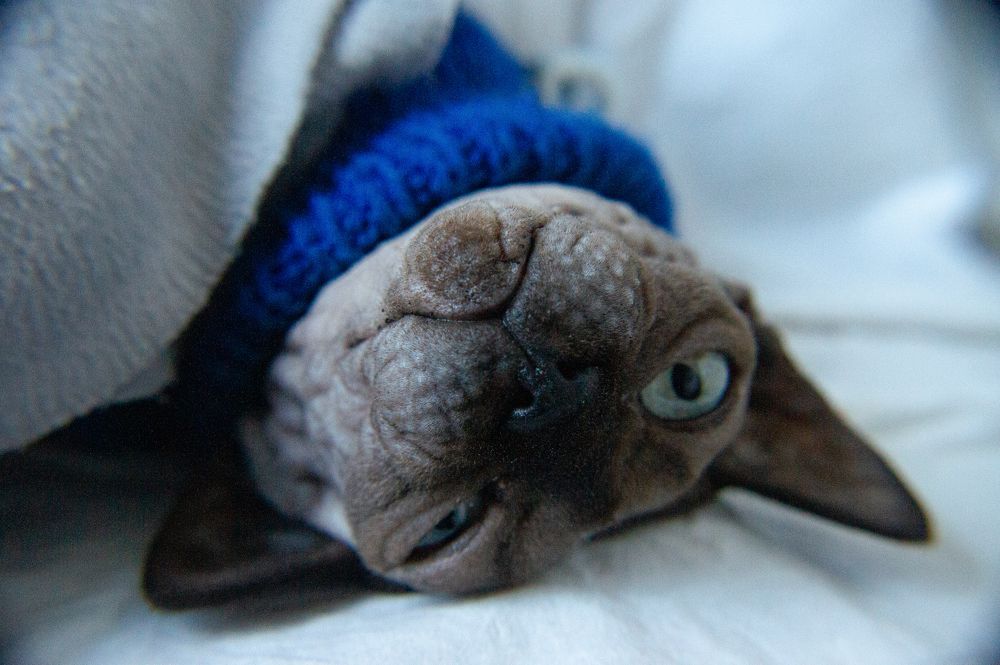 Photograph by Елизавета Корнилова