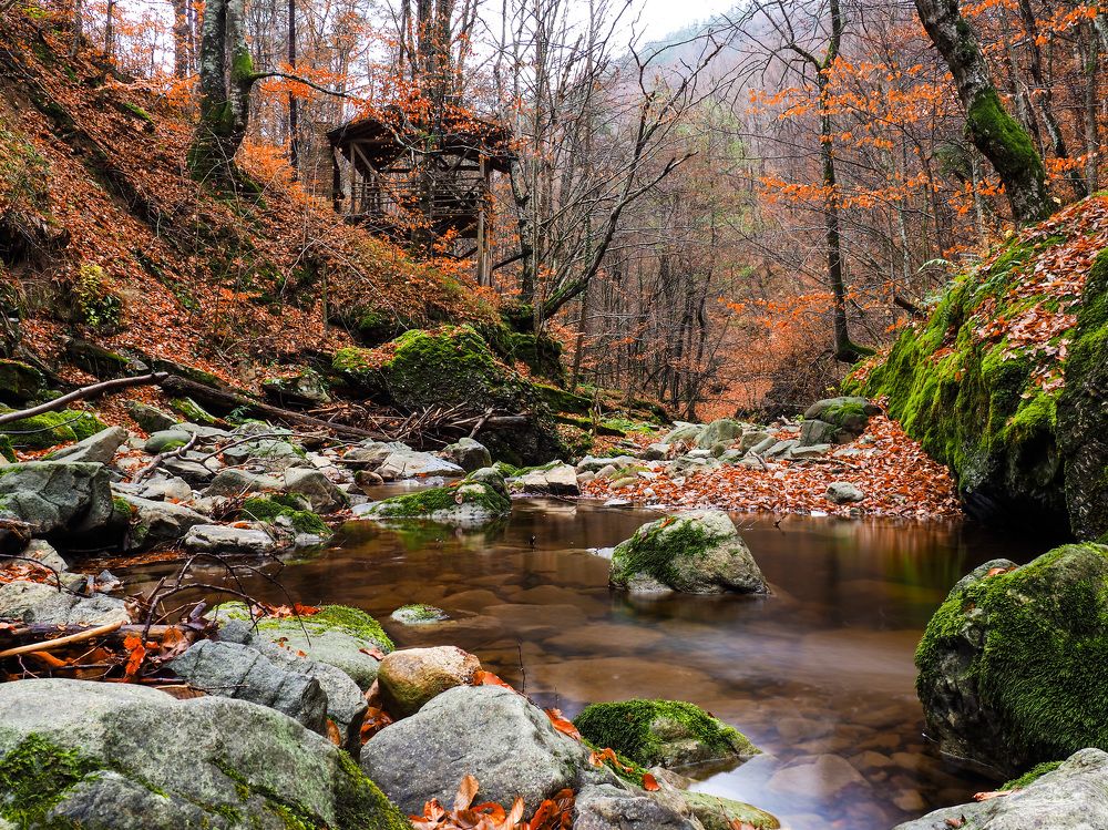 Photograph by Слави Котаров