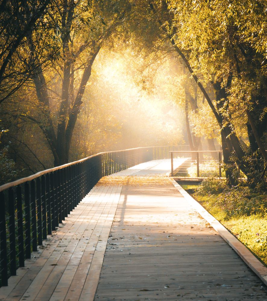 Photograph by Барсуков Владимир