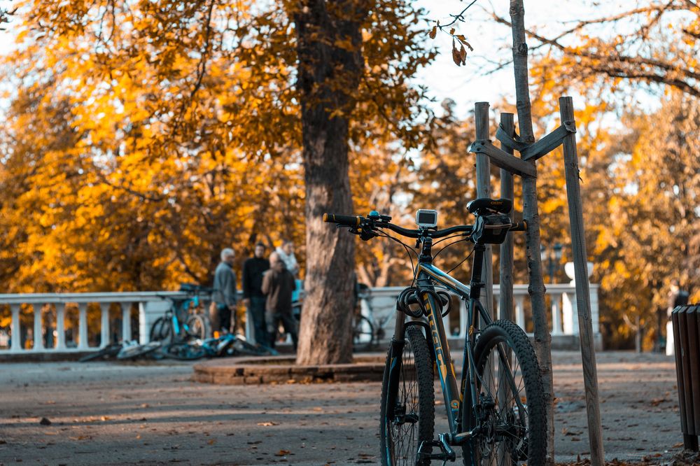 Photograph by Radoslav Bonev