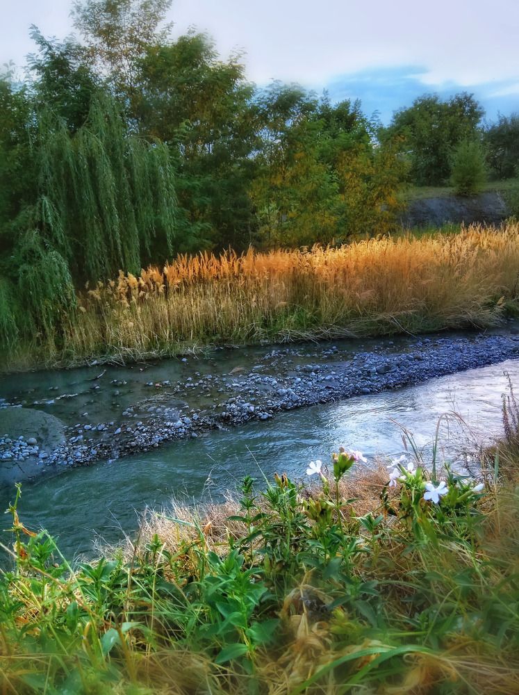 Photograph by Алла Холодова