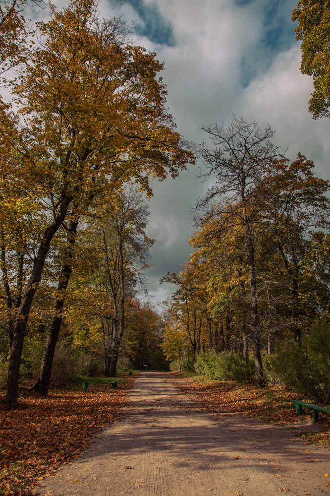 Photograph by Алексей Ефанов