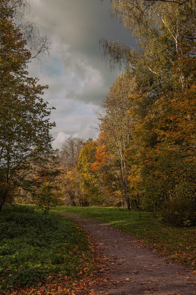 Photograph by Алексей Ефанов