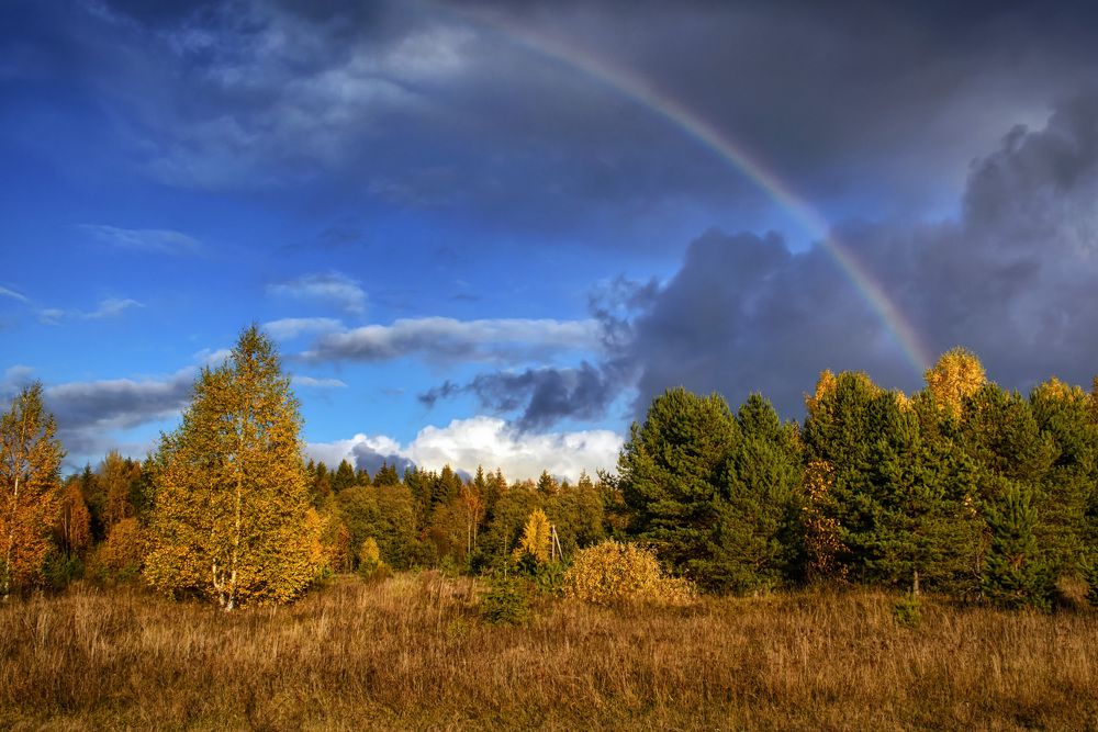 Осеннее волшебство.