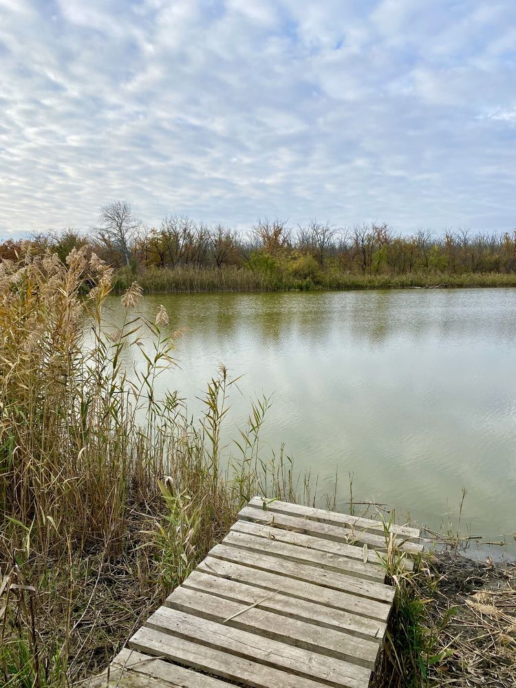 Photograph by Александра Гонтарь