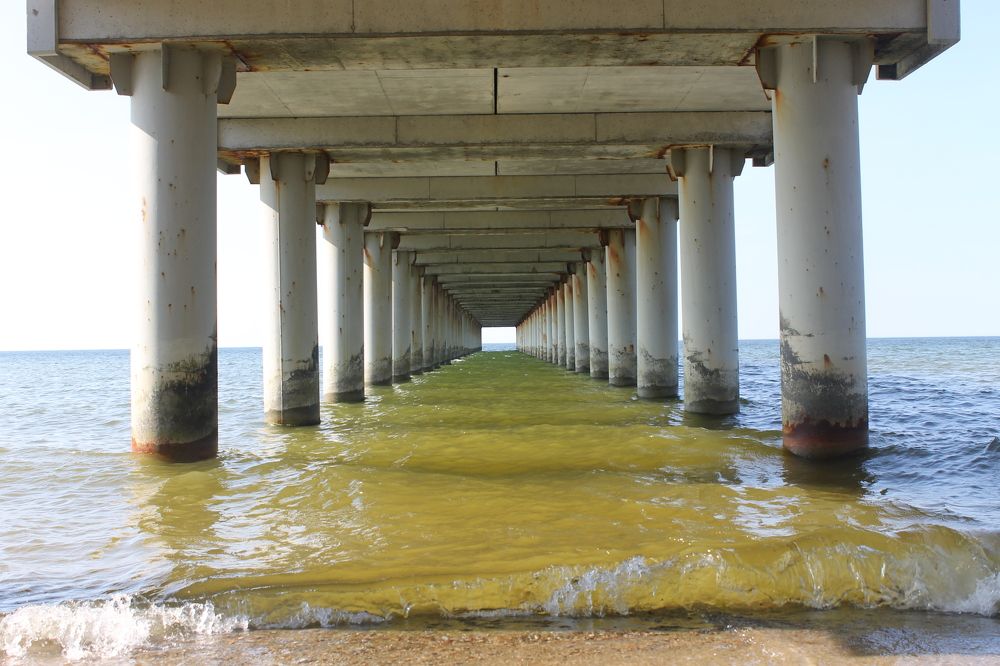 Photograph by Evgesha K