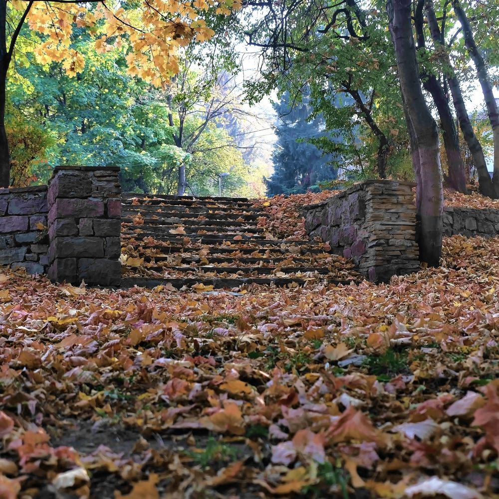 Фотография автора Dmitry