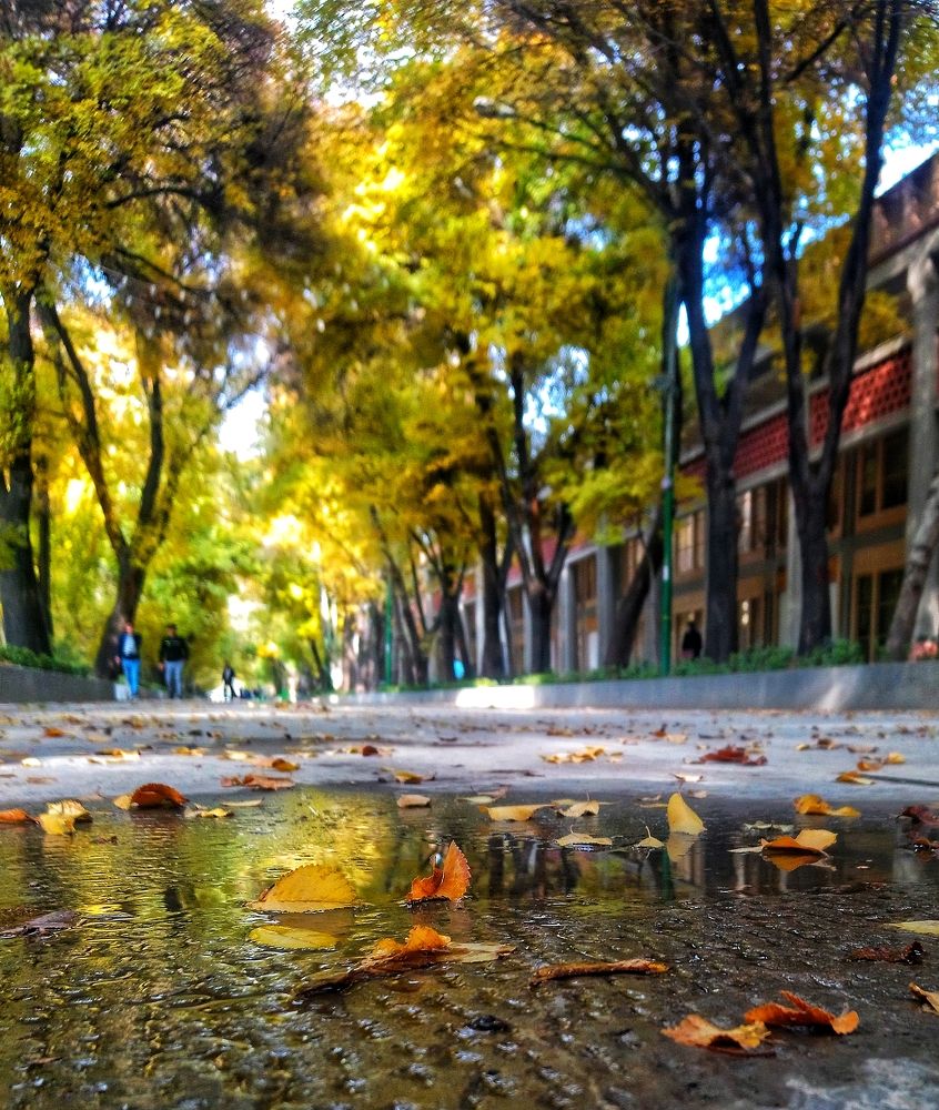 Photograph by Sina Saadati