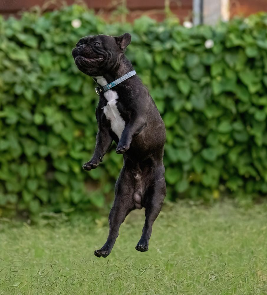 Фотография автора Mohammed sajd