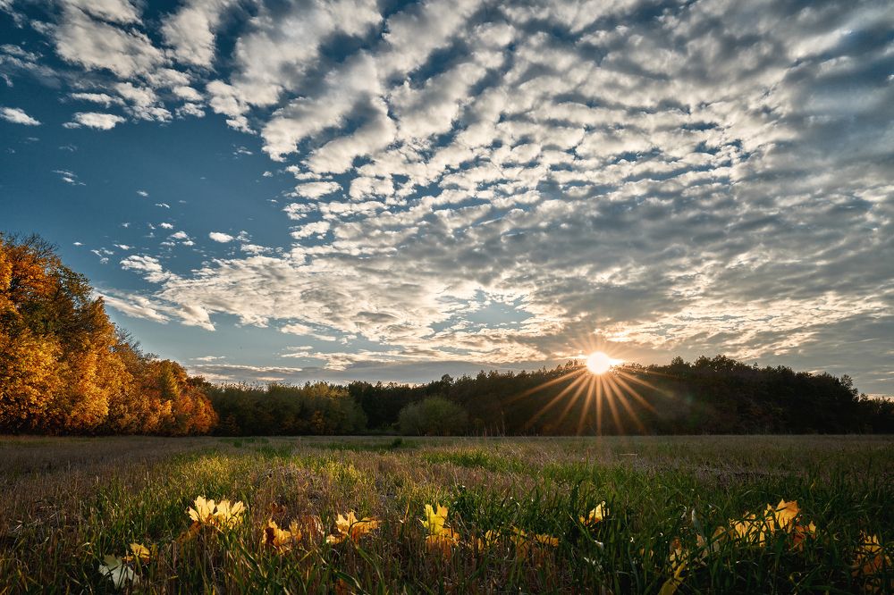 Липецкая осень