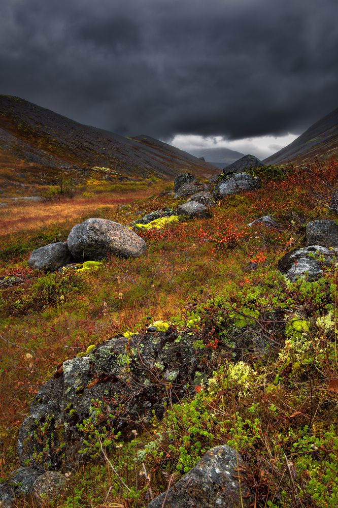 Photograph by Gureva Elena