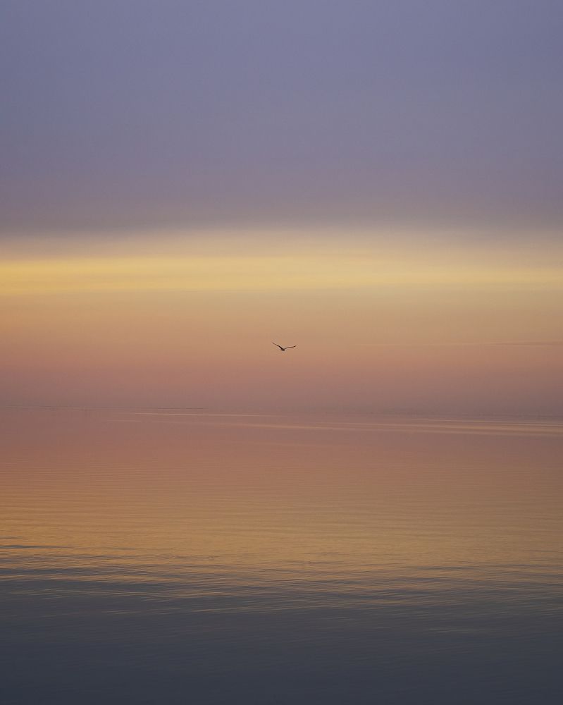 Photograph by Viktor