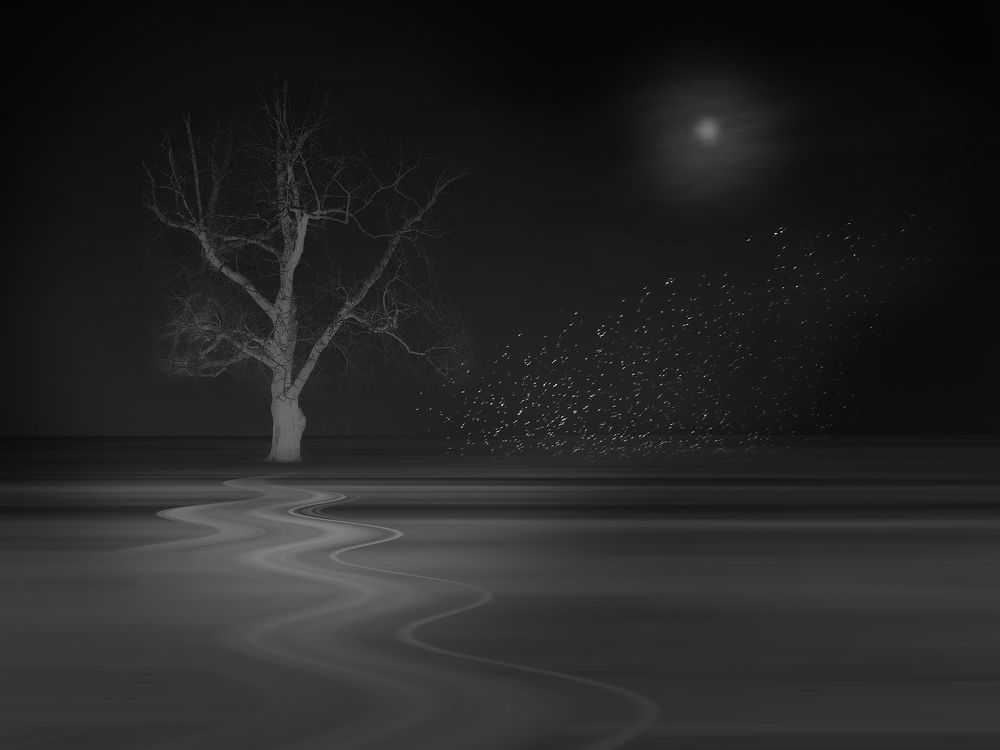 Птицы. Лунная ночь.