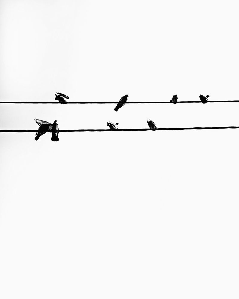 Photograph by Светлана Барабанова