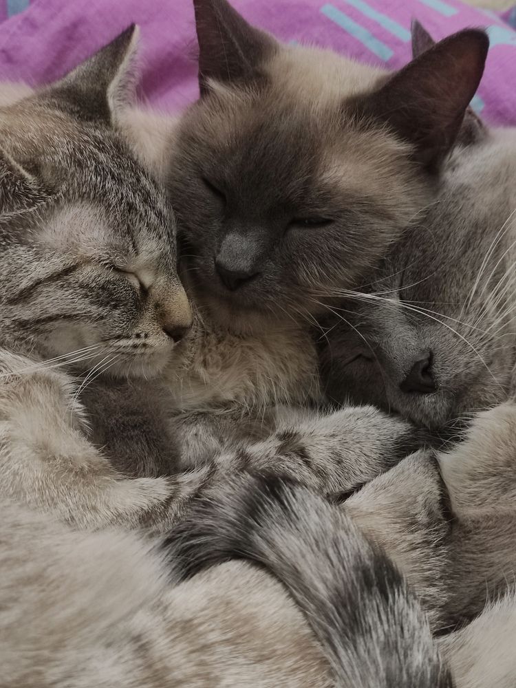 Photograph by Светлана Холодова