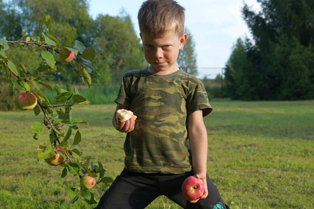 Photograph by Елена Копейкина