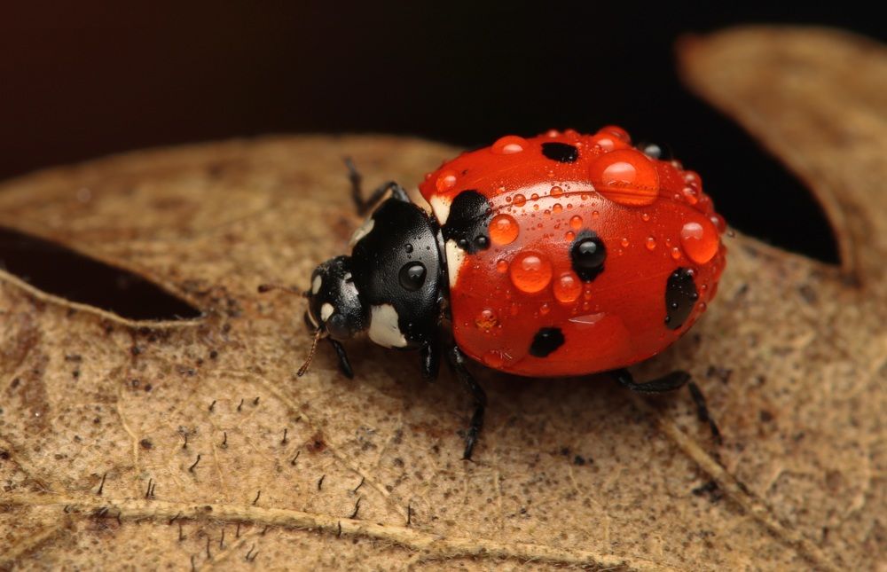Photograph by Yakup Temel
