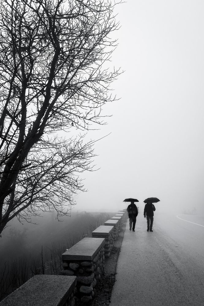 Фотография автора Yannis Iakovakis