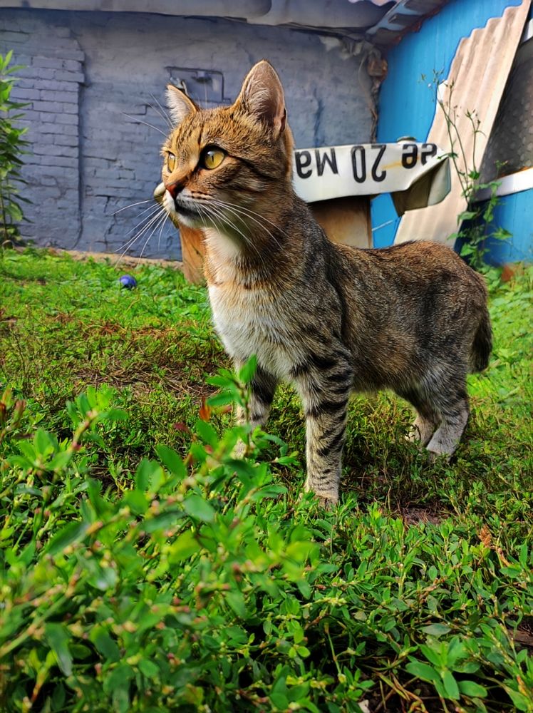 Photograph by Мария Козыренцева