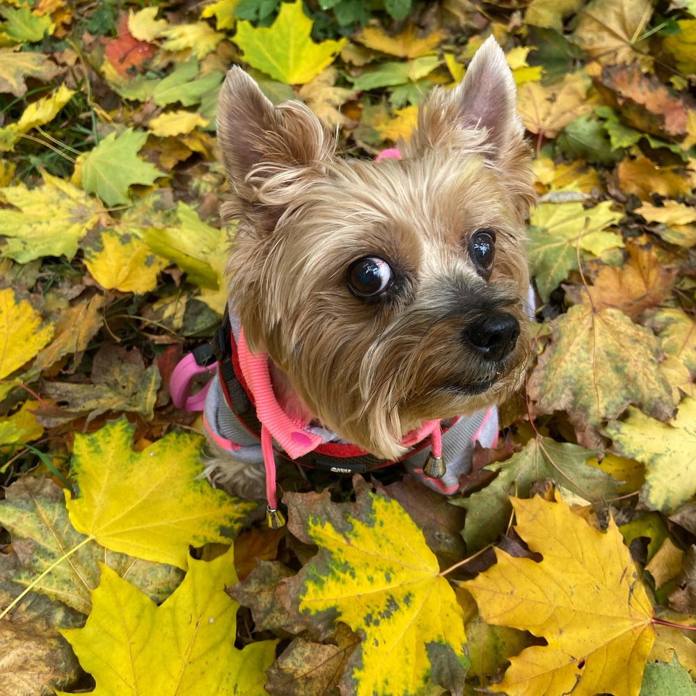 Photograph by Ирина