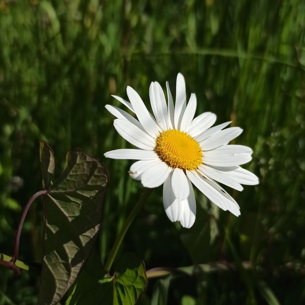 Photograph by Игорь Максимов