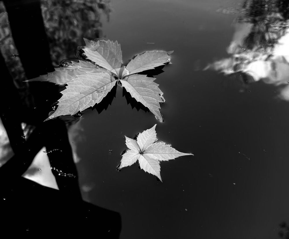 Фотография автора Galina Sa