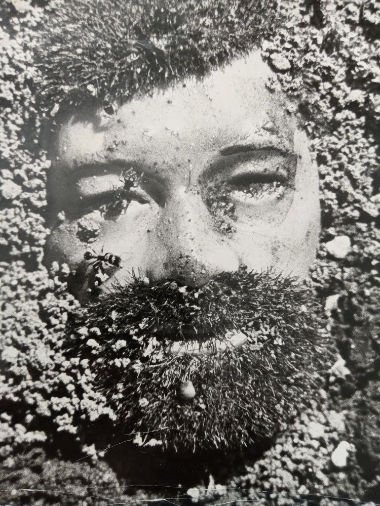 Photograph by Paul Bowers