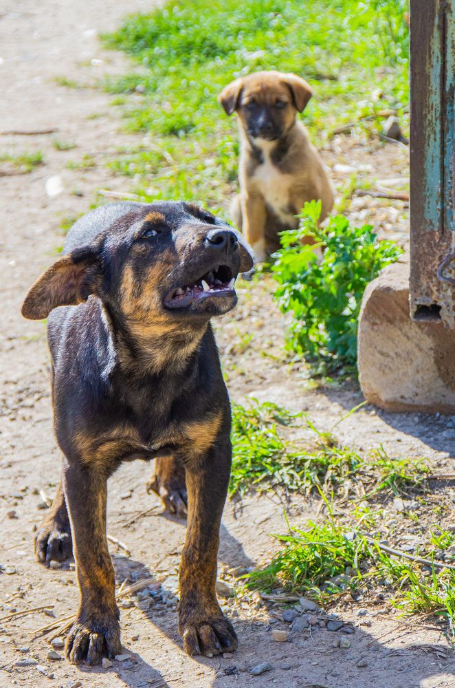 Фотография автора Hovhannes Nersisyan