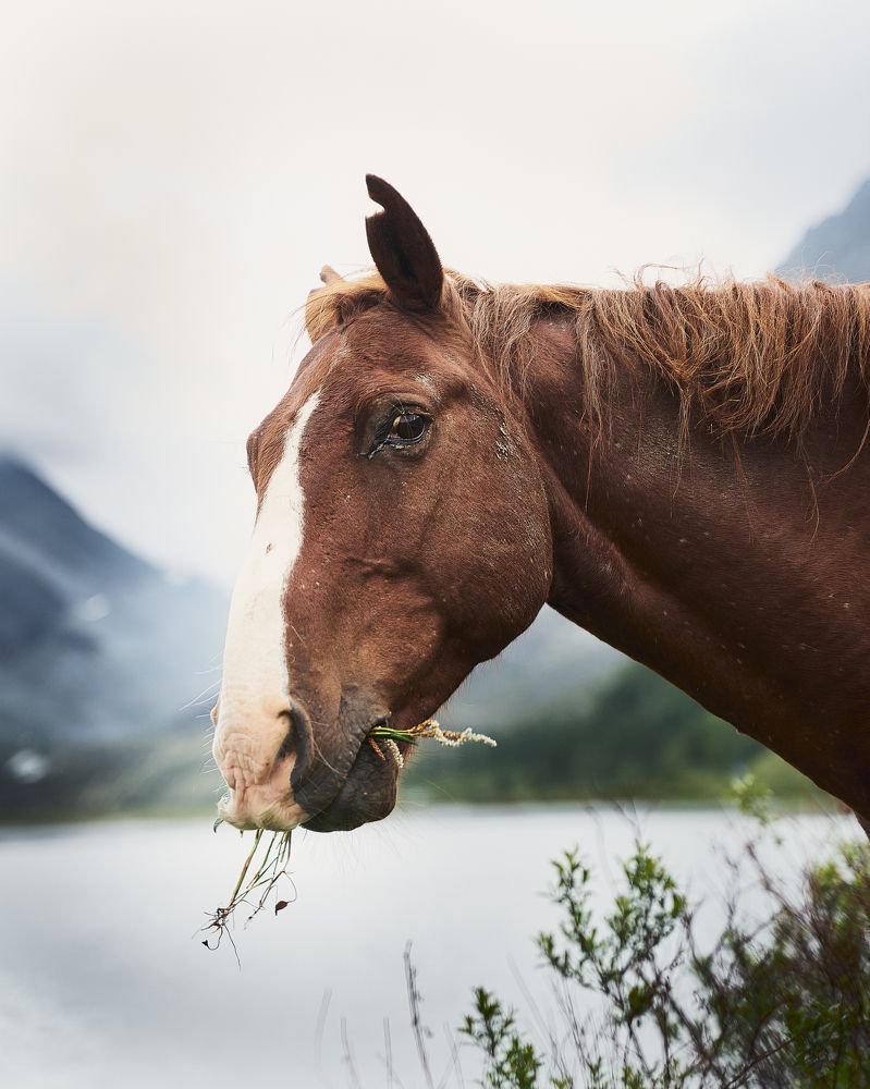 Photograph by Ирина Секачева