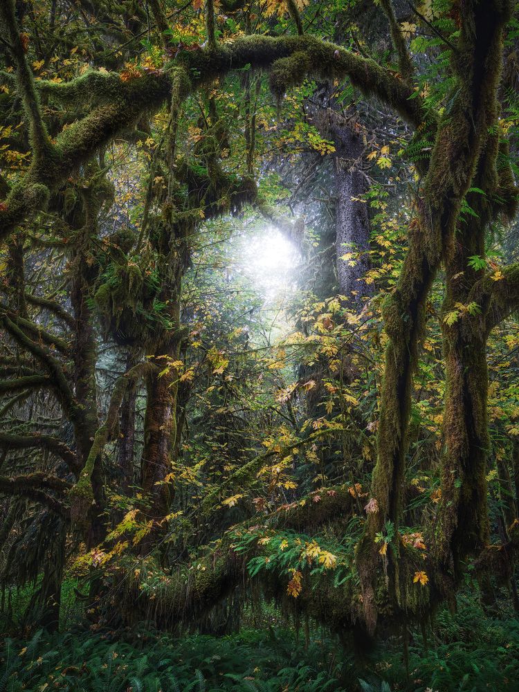 Photograph by Han Jinyi