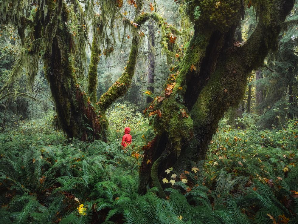 Photograph by Han Jinyi