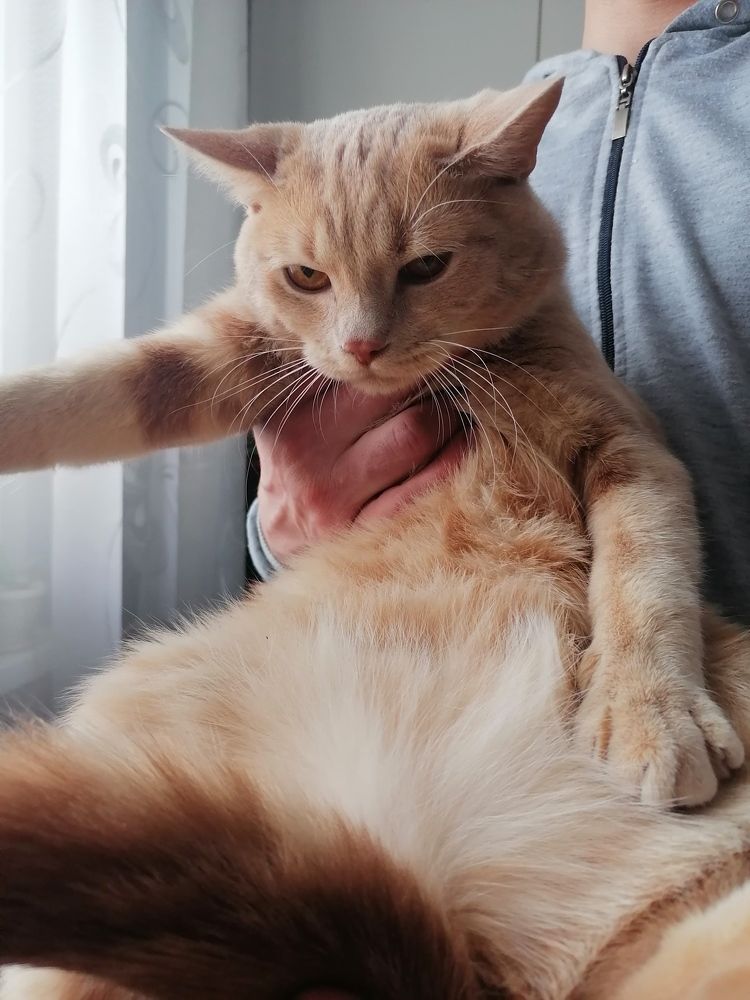 Photograph by Иващенко Юлия