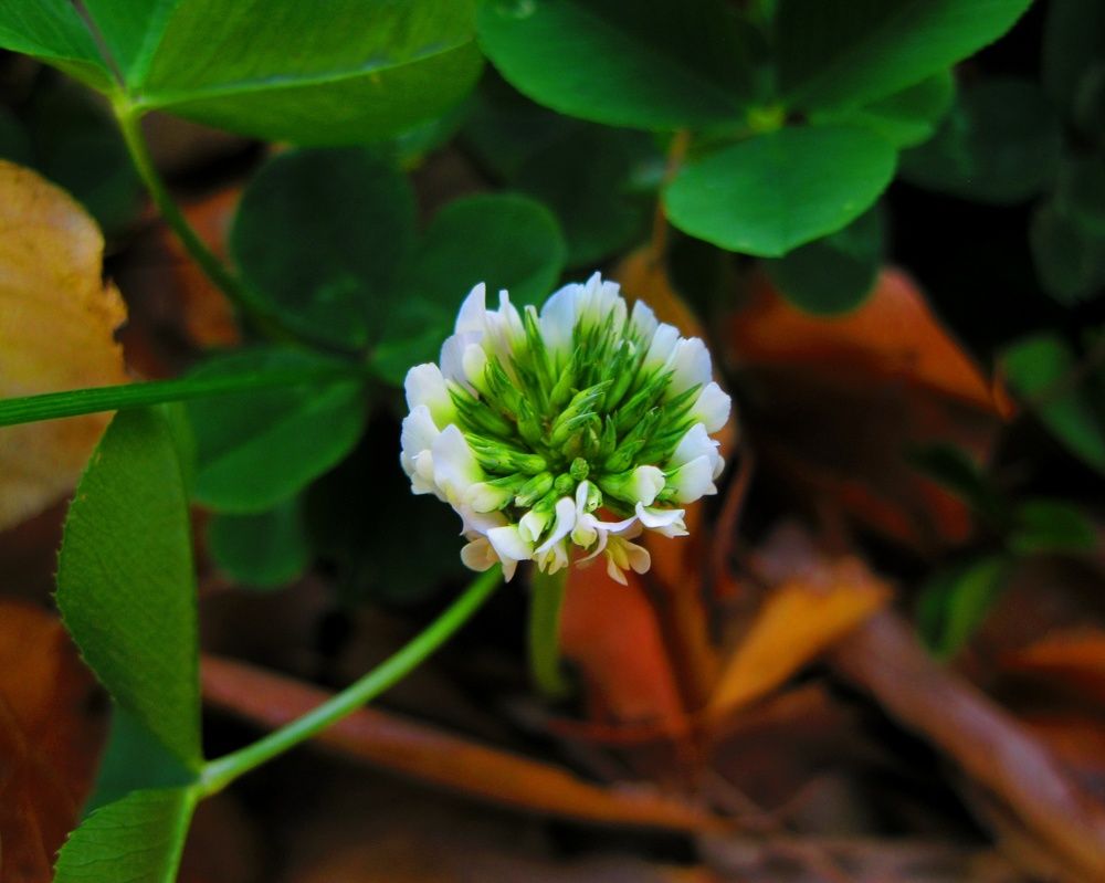 Photograph by Kanat Amre