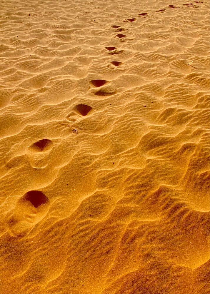 Фотография автора ГУЗАЛИЯ ГАНИЕВА