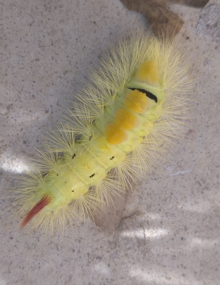 Photograph by Елена Коробченко