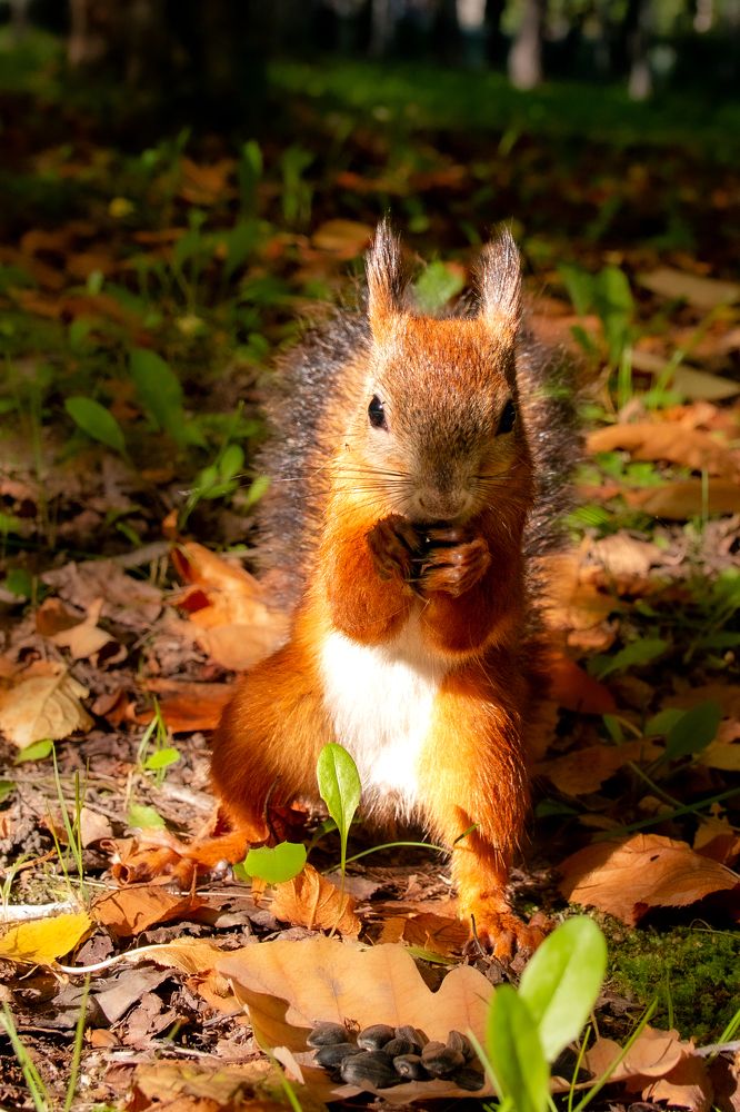 Photograph by Ирина Рыжова