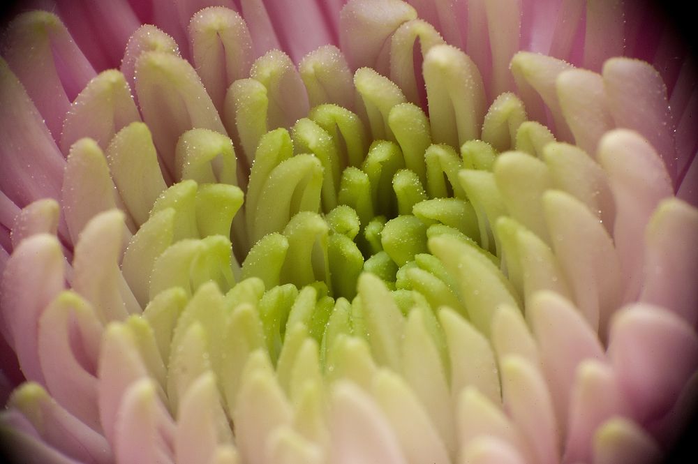 Photograph by Дмитрий Рассыльщиков