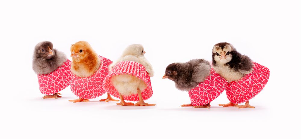 Photograph by Дёгтев Евгений