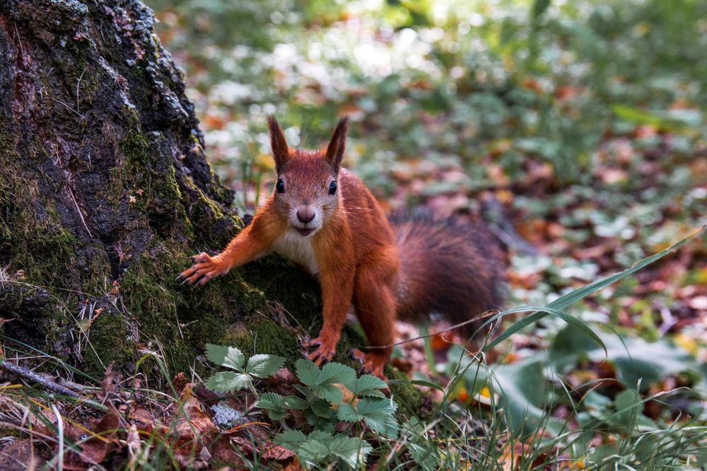 Photograph by Ирина Рыжова