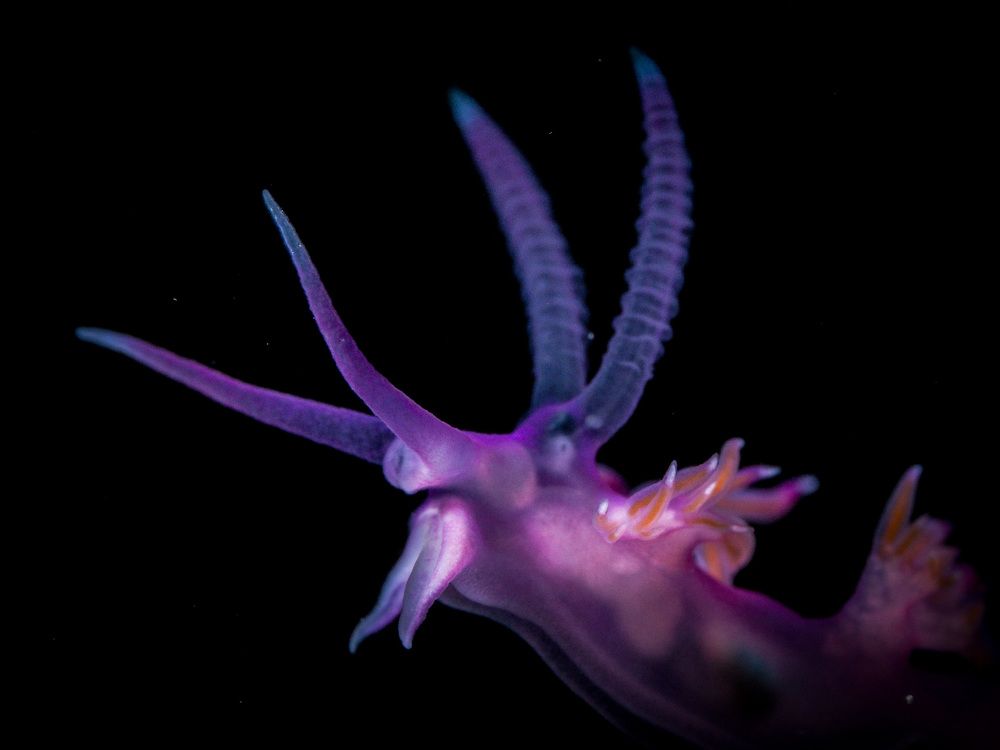 Photograph by Serdar AVCI