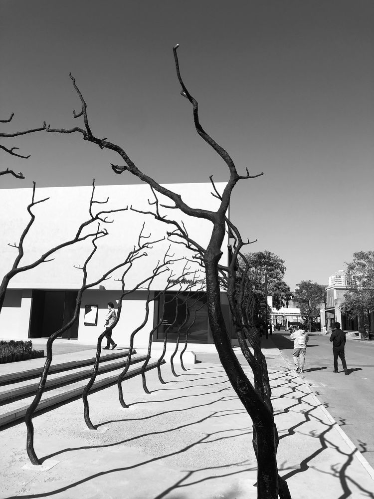Iron branches