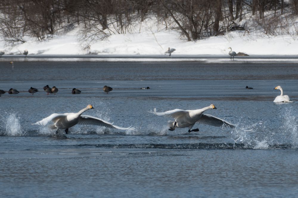 Photograph by  Мария