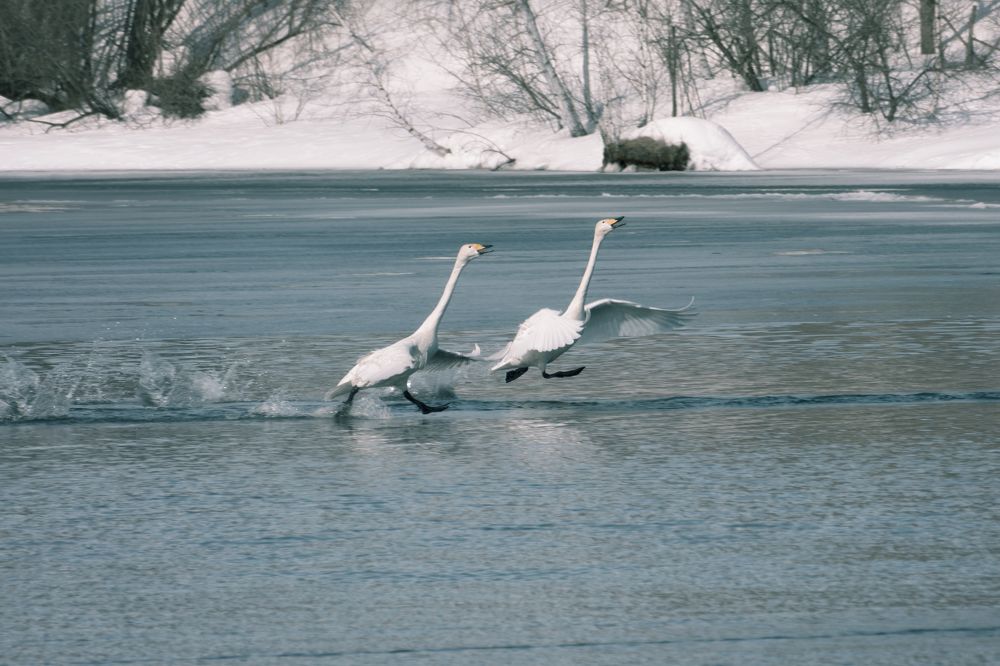 Photograph by  Мария