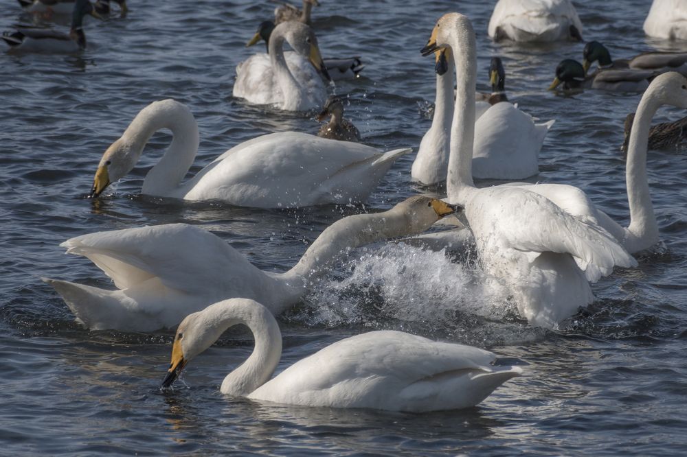 Photograph by  Мария