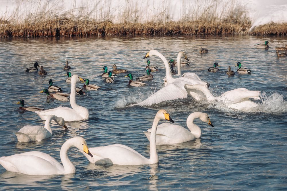 Photograph by  Мария