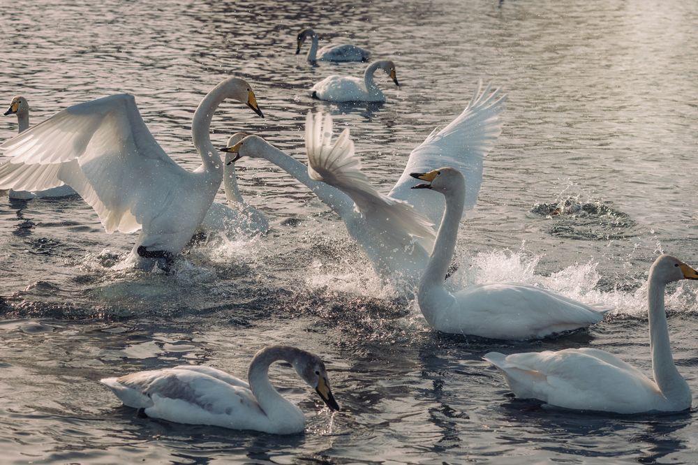 Photograph by  Мария