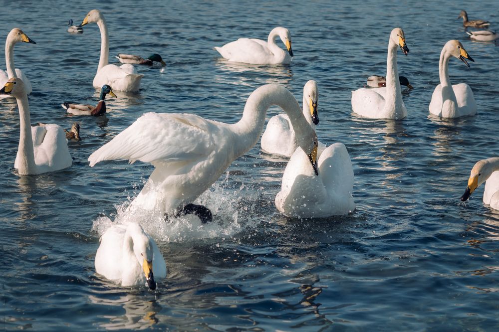 Photograph by  Мария