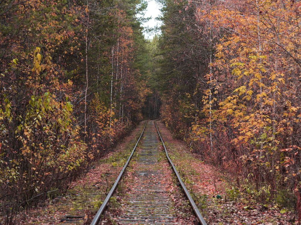 Photograph by Николай Писецкий